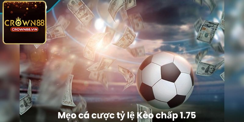 Mẹo cá cược tỷ lệ Kèo chấp 1.75 trái hiệu quả