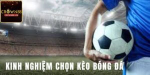 Kinh nghiệm chọn kèo theo bảng xếp hạng của đội bóng